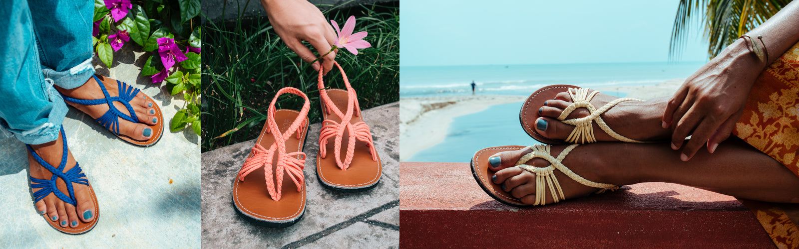 Collection SEASTAR