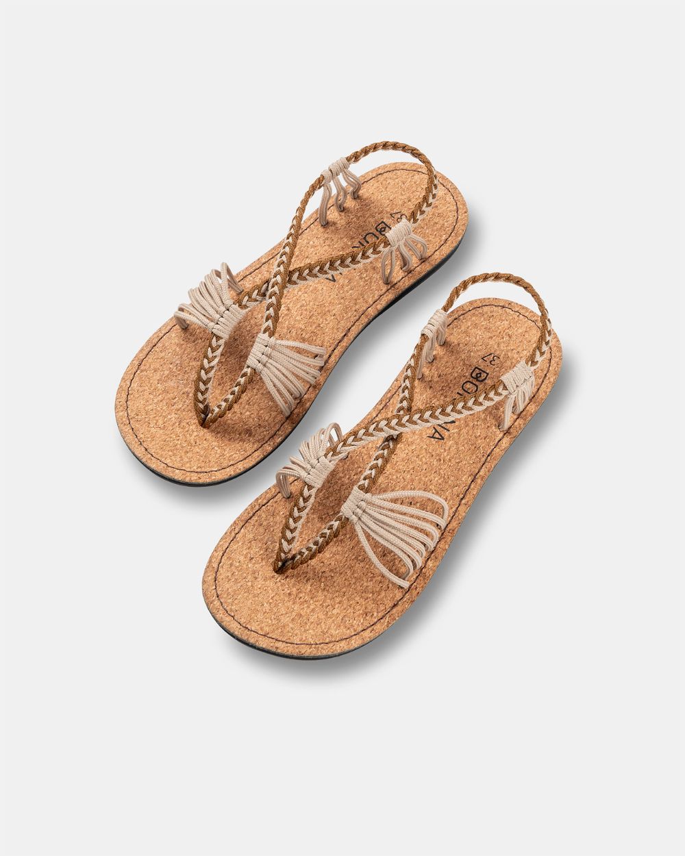 SEASTAR LARGE - Café