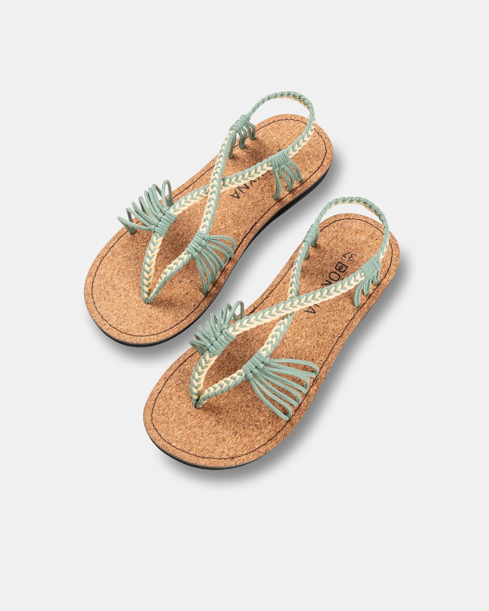 SEASTAR LARGE - Pistache